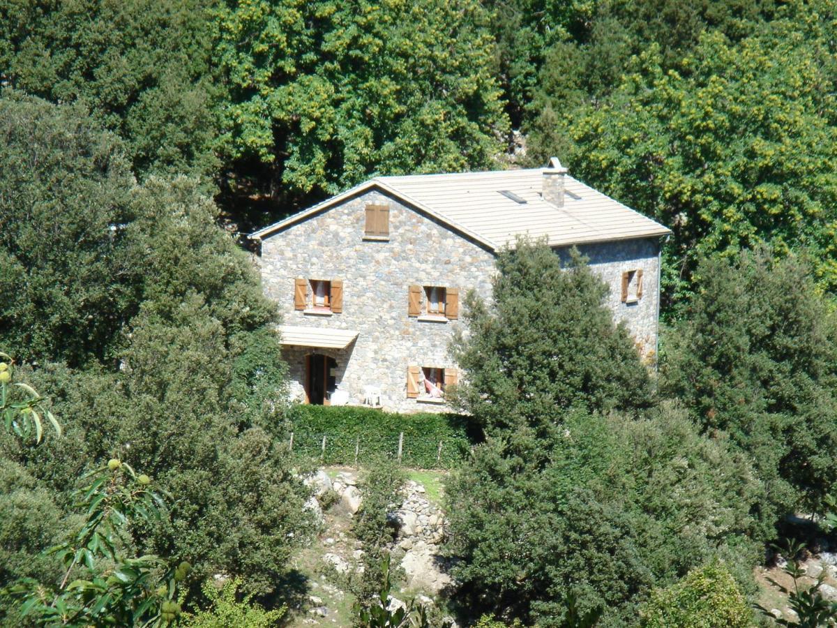 Chambre D'Hote "Chez Antoinette Et Charles" Santo-Pietro-di-Venaco Exterior photo