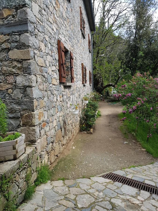Chambre D'Hote "Chez Antoinette Et Charles" Santo-Pietro-di-Venaco Exterior photo